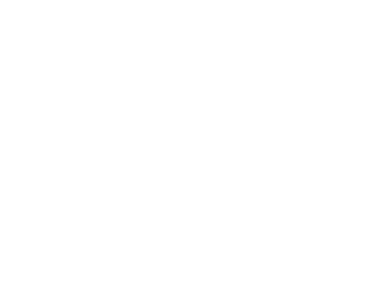 V-TEKI — IT & Business Consulting